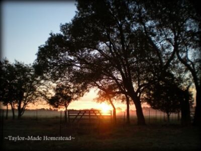 How Self-Reliance and Voluntary Simplicity Equals Power Image